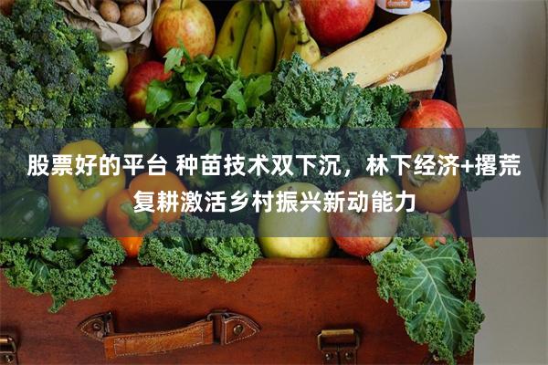 股票好的平台 种苗技术双下沉，林下经济+撂荒复耕激活乡村振兴新动能力