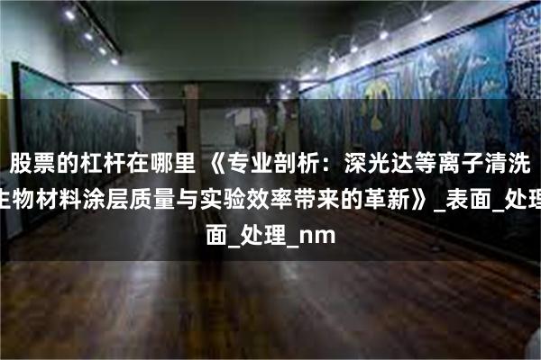 股票的杠杆在哪里 《专业剖析：深光达等离子清洗机为生物材料涂层质量与实验效率带来的革新》_表面_处理_nm