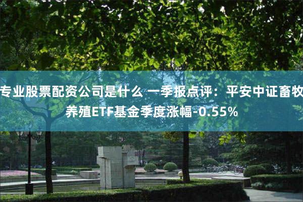 专业股票配资公司是什么 一季报点评：平安中证畜牧养殖ETF基金季度涨幅-0.55%